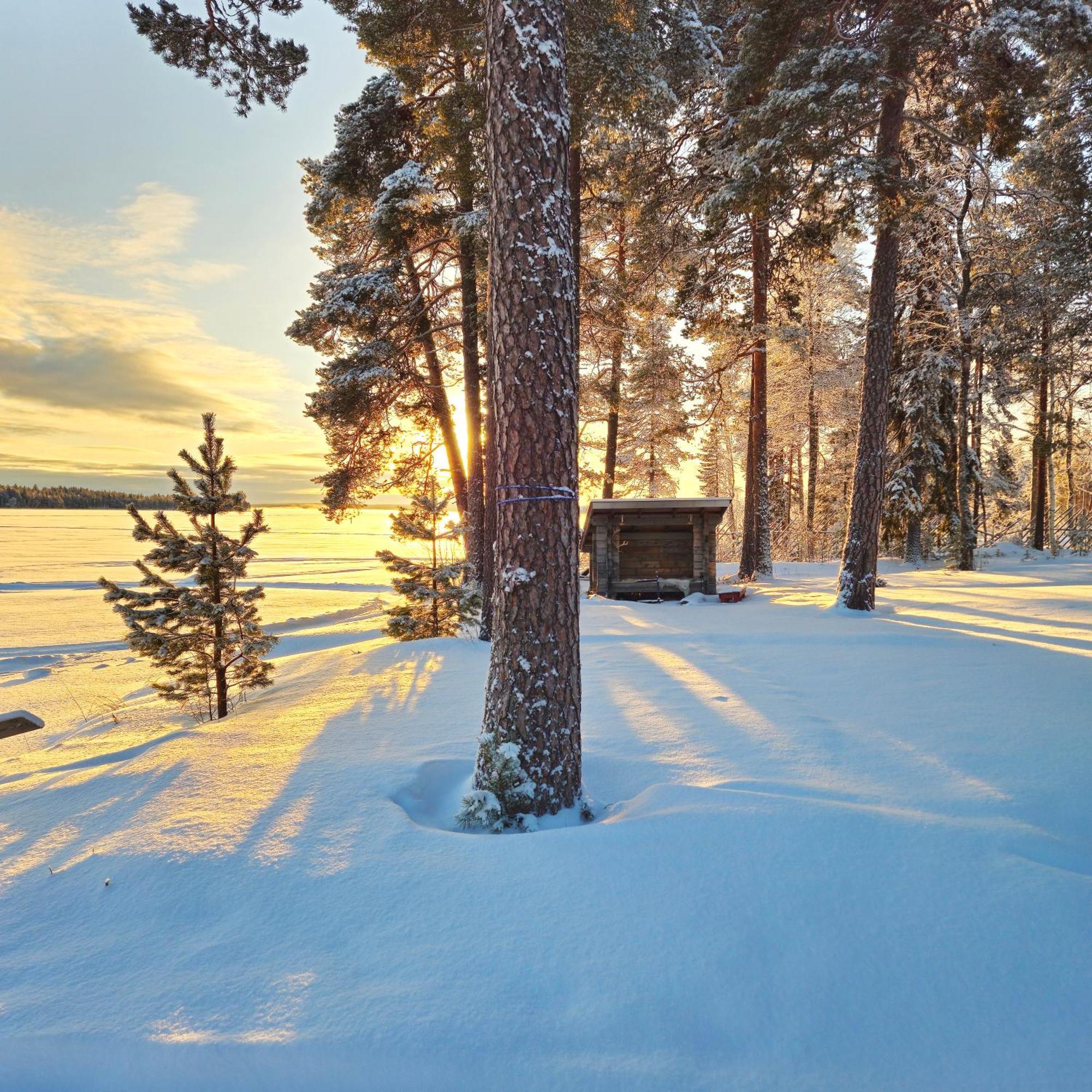 Chalet Norva Rovaniemi Zewnętrze zdjęcie